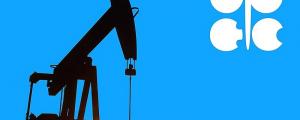 会议临近OPEC欲主动增产,原油价格跌至两周内低位!